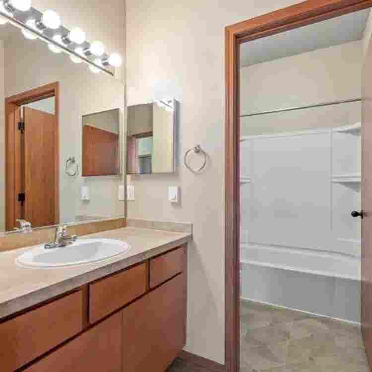 In search of a fourth roommate!