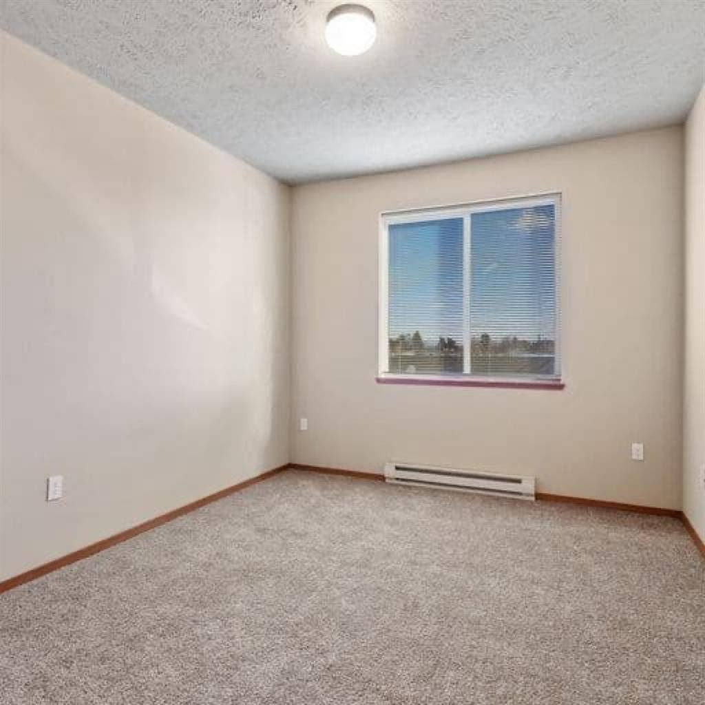 In search of a fourth roommate!