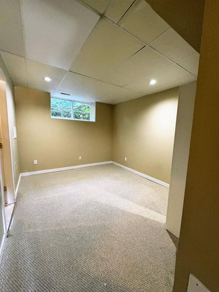 Den ground level suite