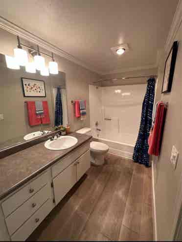 Apartment 

(want to share)