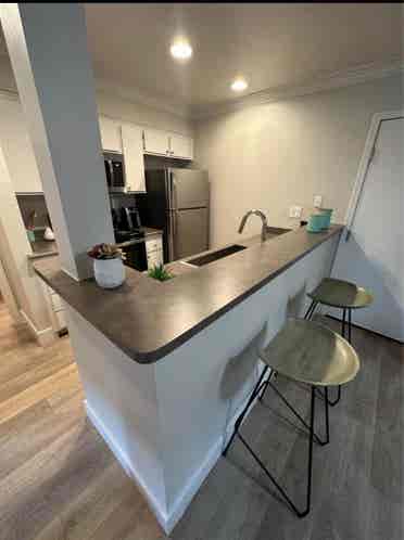 Apartment 

(want to share)
