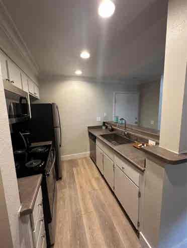 Apartment 

(want to share)