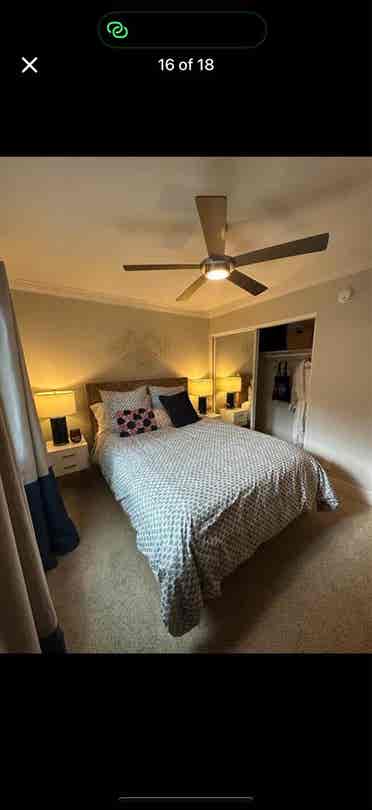 Apartment 

(want to share)