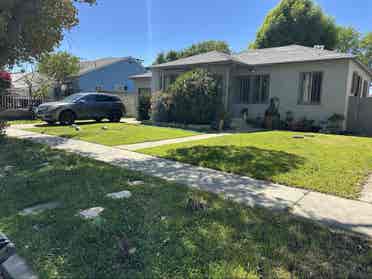 Looking for a roommate