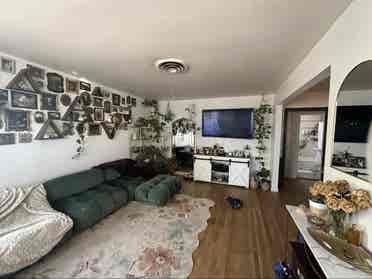 Looking for a roommate