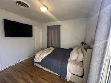 Looking for a roommate