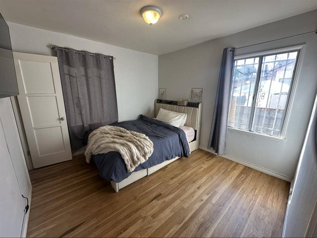 Looking for a roommate