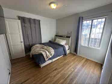 Looking for a roommate