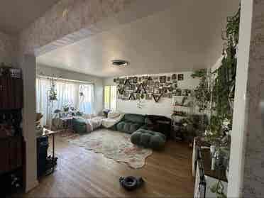Looking for a roommate