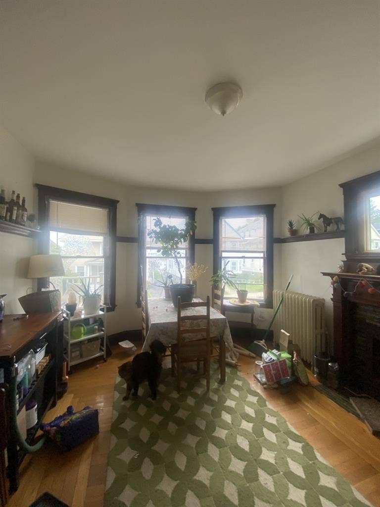 ROOM AVAIL IN BRIGHTON STARTING SEP