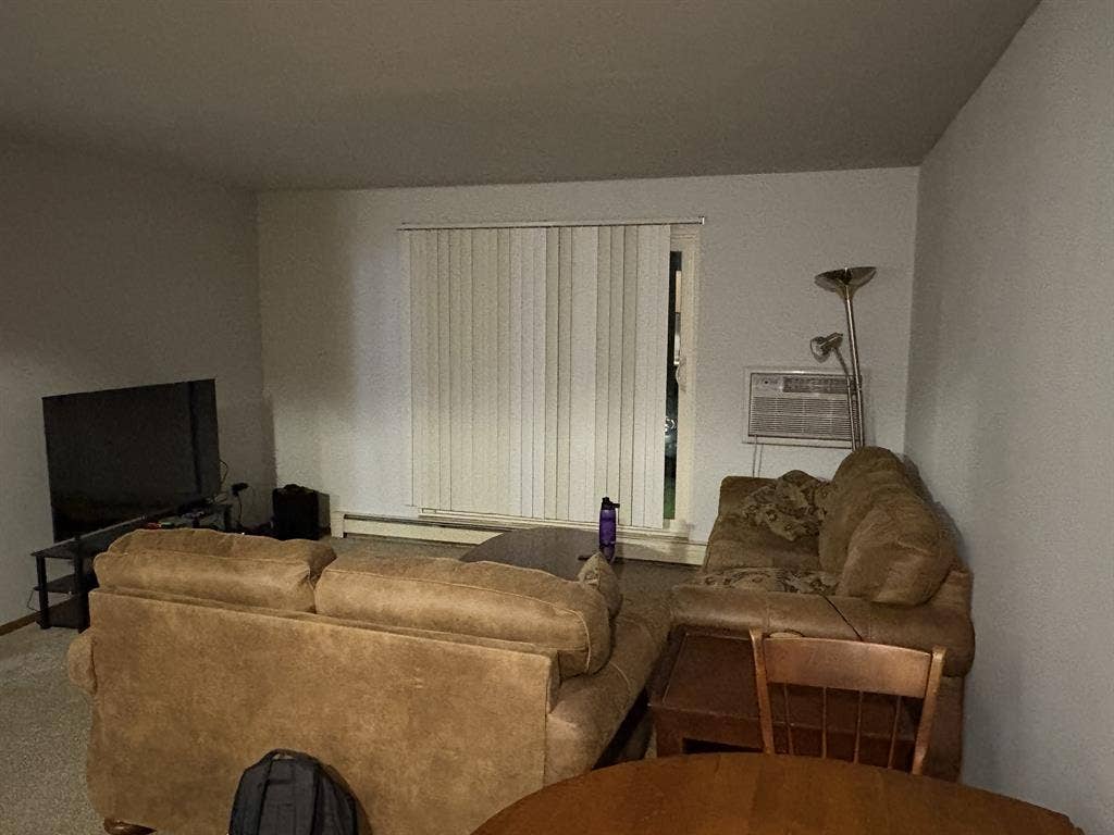 1 Roommate needed $/month