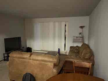 1 Roommate needed $/month