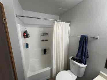 1 Roommate needed $/month