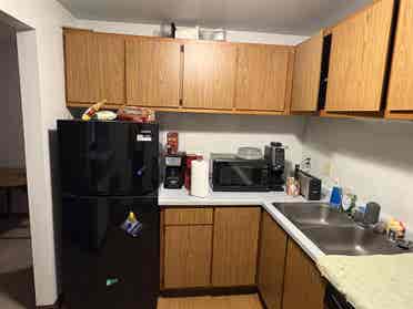 1 Roommate needed $/month
