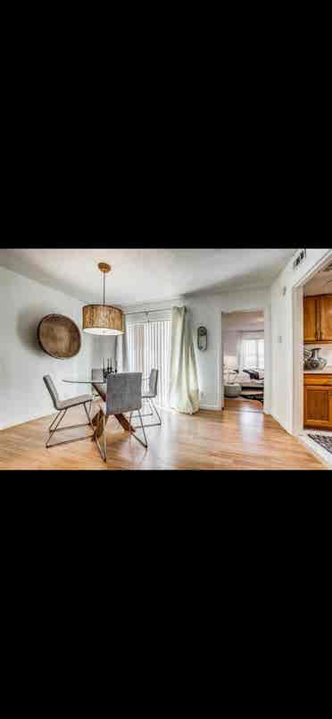 Roommate wanted!
