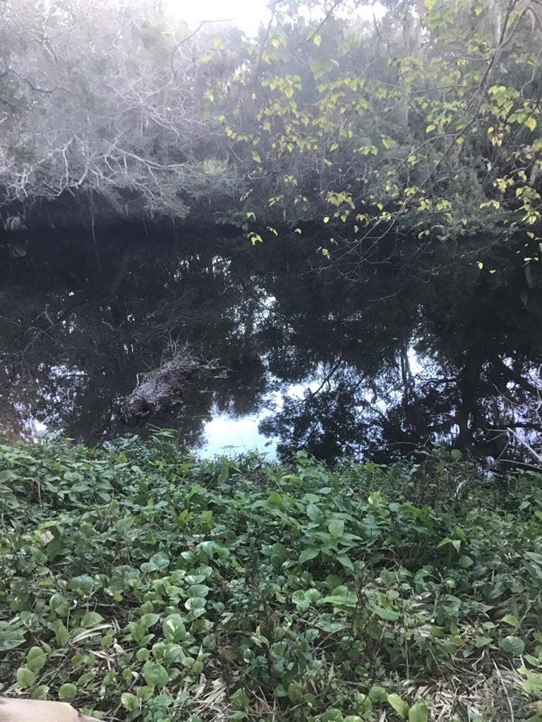 Room for rent in Tampa