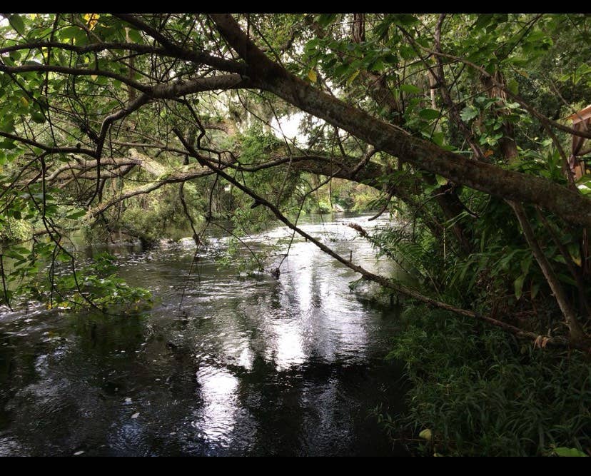 Room for rent in Tampa