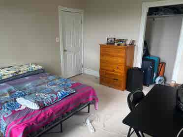South Hill Rooms  w Friendly Hound