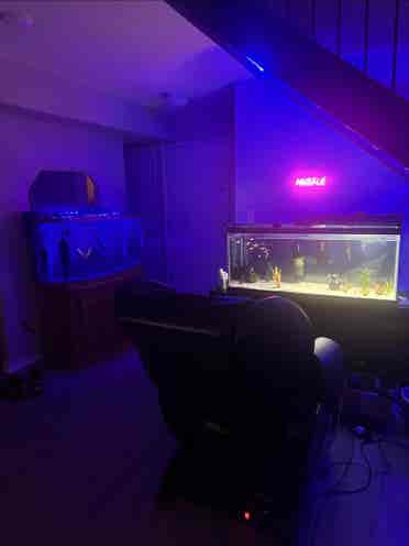 Looking for someone to rent a room
