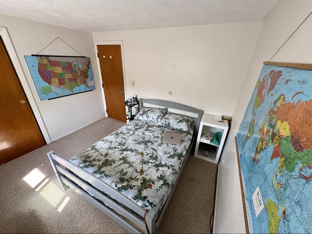 Looking for a roommate