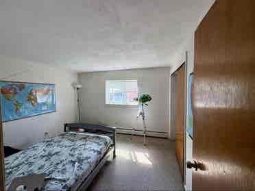 Looking for a roommate