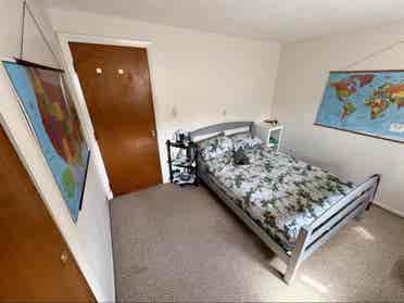 Looking for a roommate