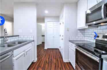 Looking for shared loft ($)