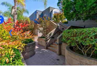 Looking for shared loft ($)