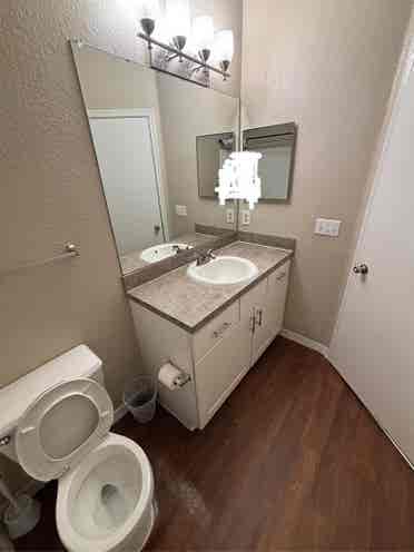 Temple Terrace Apartment
