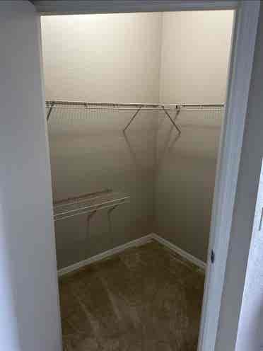 Temple Terrace Apartment