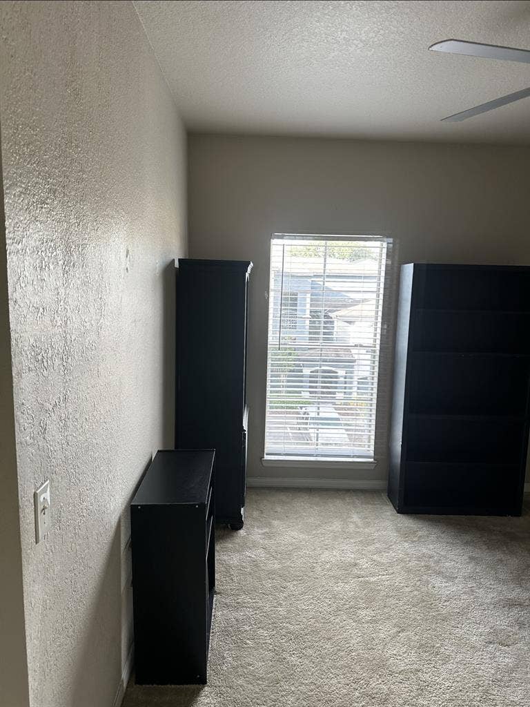 Temple Terrace Apartment