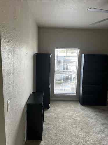 Temple Terrace Apartment