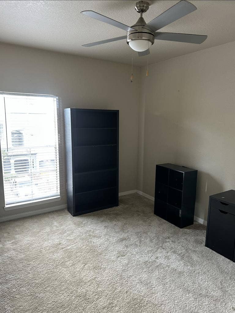 Temple Terrace Apartment