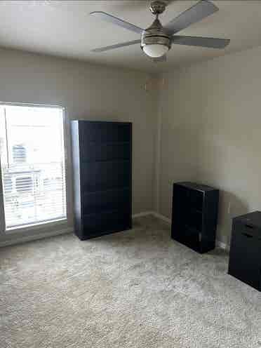 Temple Terrace Apartment