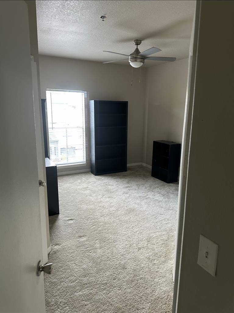 Temple Terrace Apartment