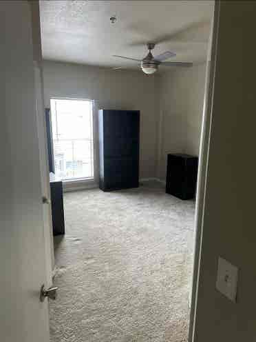 Temple Terrace Apartment