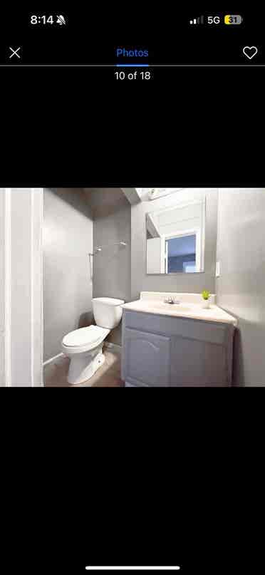 looking for roommate