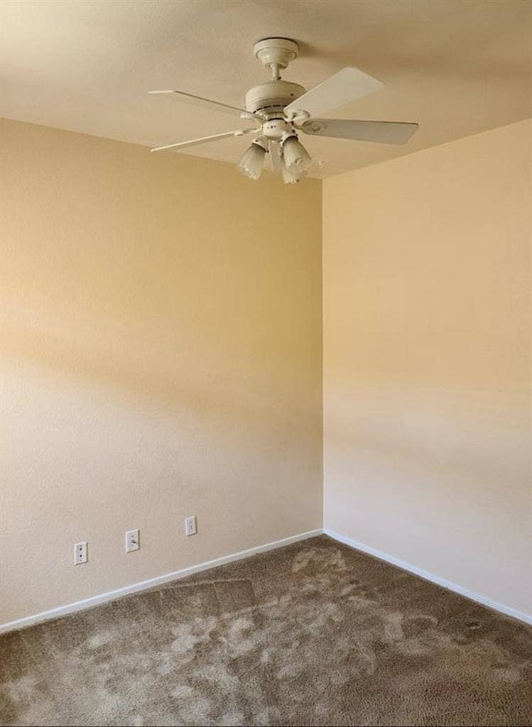 Roommate wanted!