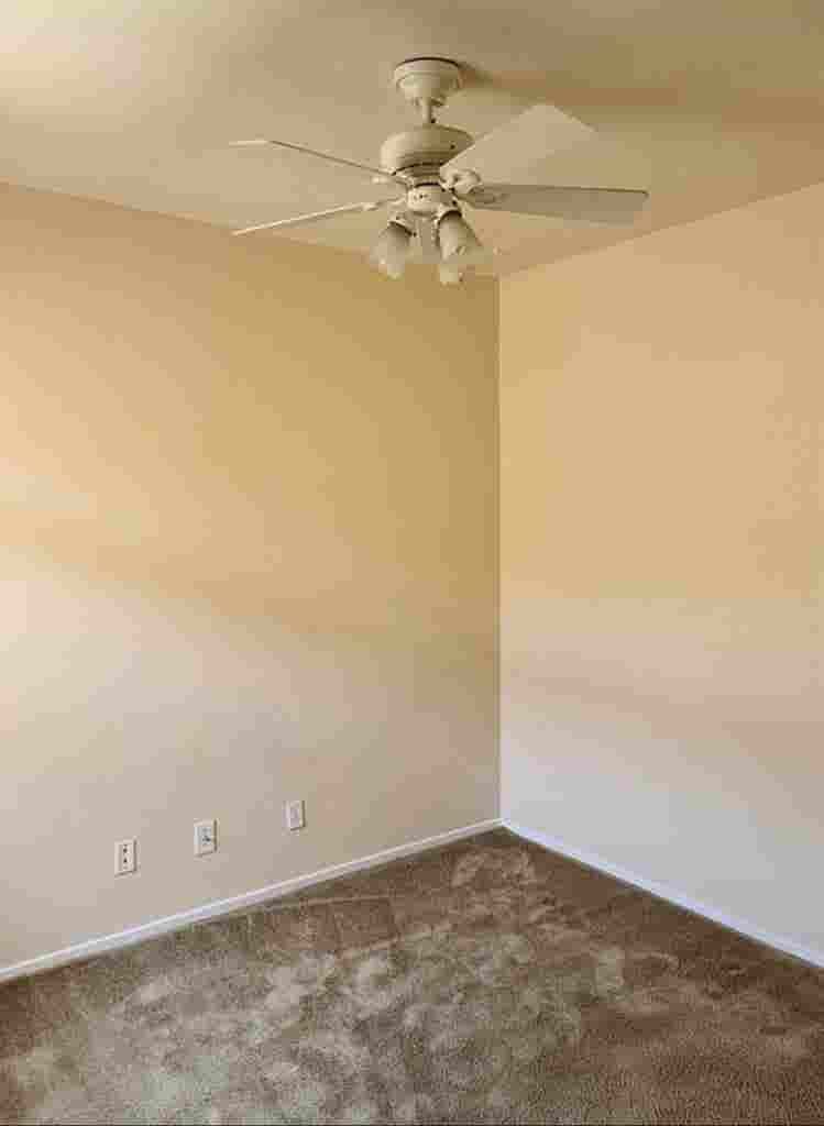 Roommate wanted!