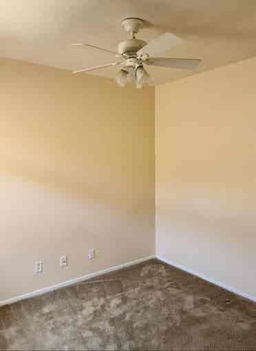 Roommate wanted!