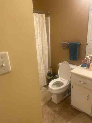 Room for rent
