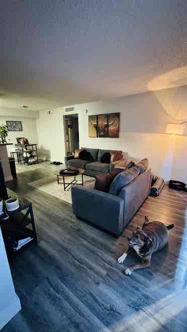 Master bedroom room to rent