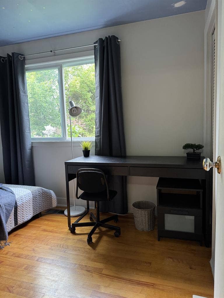 New Listing