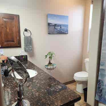 Female Roommate Wanted