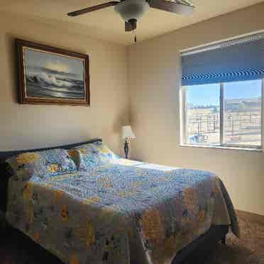 Female Roommate Wanted