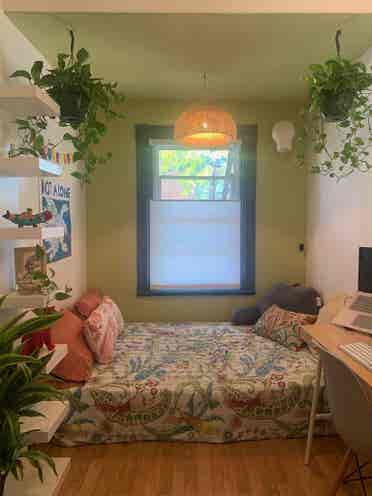 P'tit Bijou au CentreSud + Jardin