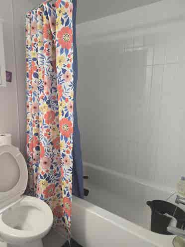 Bath Apartment