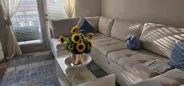 Friendly & Clean Roommate in WPB