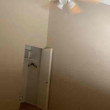 Room for rent
