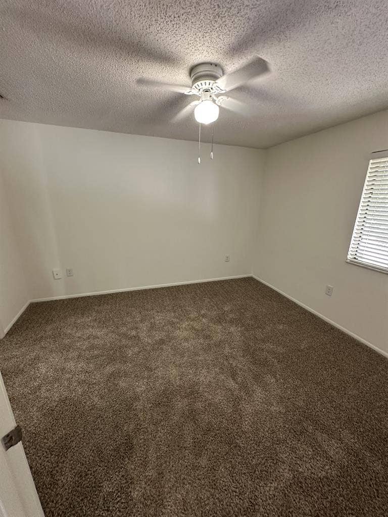 Private Room for rent